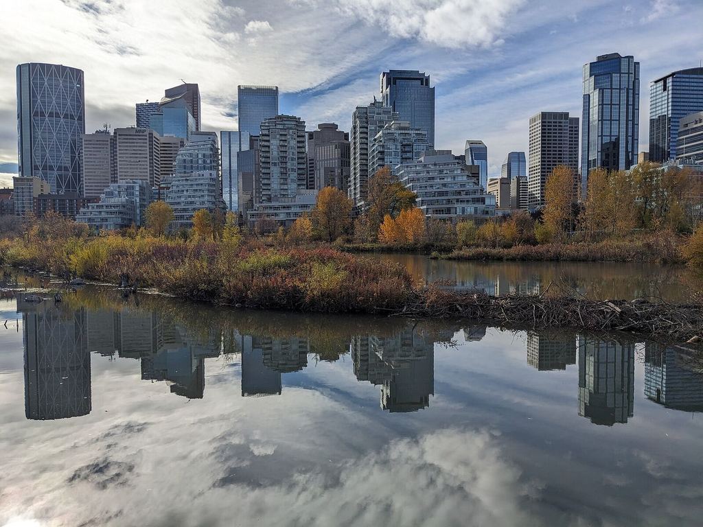 The Calgary skyline seen across the river from Prince's Island Park